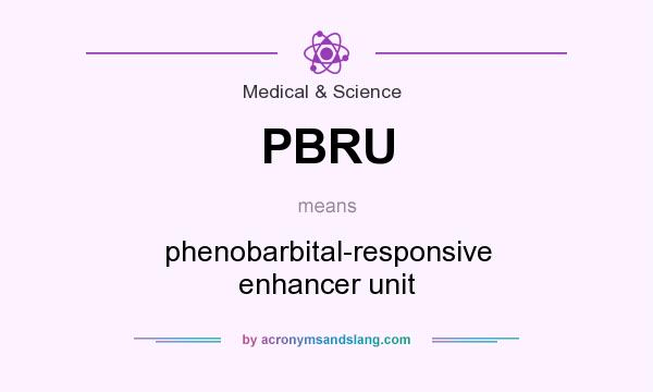 What does PBRU mean? It stands for phenobarbital-responsive enhancer unit