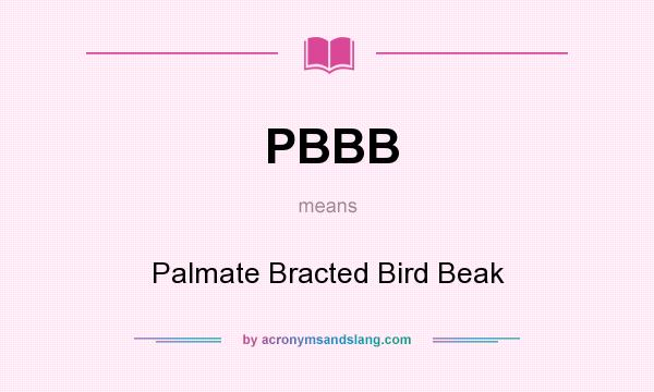 What does PBBB mean? It stands for Palmate Bracted Bird Beak