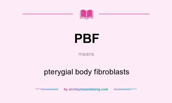 What does PBF mean? It stands for pterygial body fibroblasts