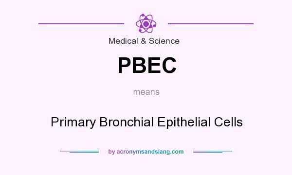 What does PBEC mean? It stands for Primary Bronchial Epithelial Cells