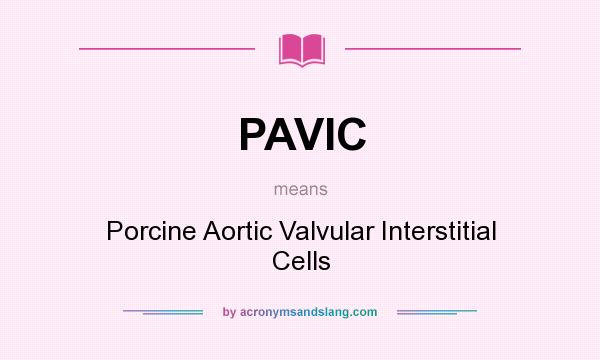 What does PAVIC mean? It stands for Porcine Aortic Valvular Interstitial Cells