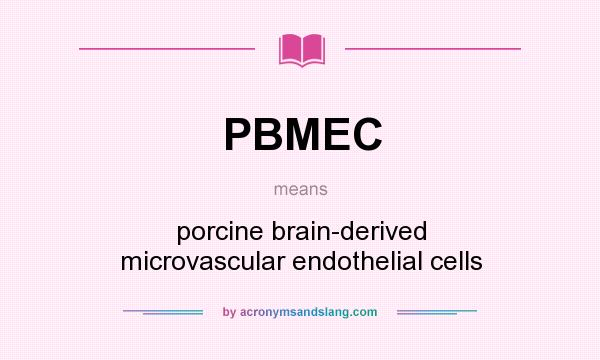 What does PBMEC mean? It stands for porcine brain-derived microvascular endothelial cells