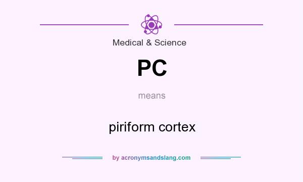 What does PC mean? It stands for piriform cortex