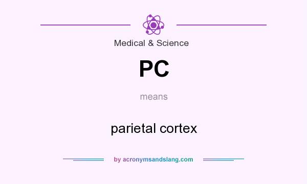 What does PC mean? It stands for parietal cortex