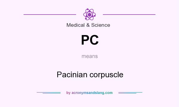 What does PC mean? It stands for Pacinian corpuscle