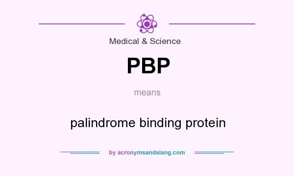 What does PBP mean? It stands for palindrome binding protein