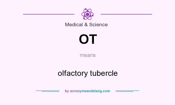 What does OT mean? It stands for olfactory tubercle
