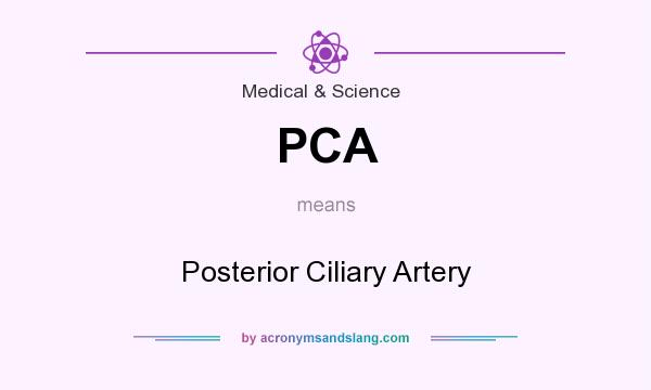 What does PCA mean? It stands for Posterior Ciliary Artery