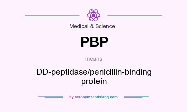 What does PBP mean? It stands for DD-peptidase/penicillin-binding protein