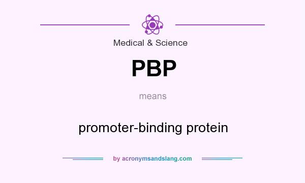 What does PBP mean? It stands for promoter-binding protein