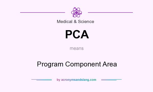 What does PCA mean? It stands for Program Component Area
