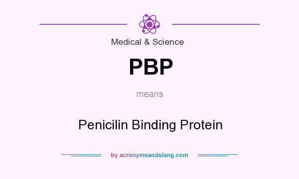 What does PBP mean? It stands for Penicilin Binding Protein