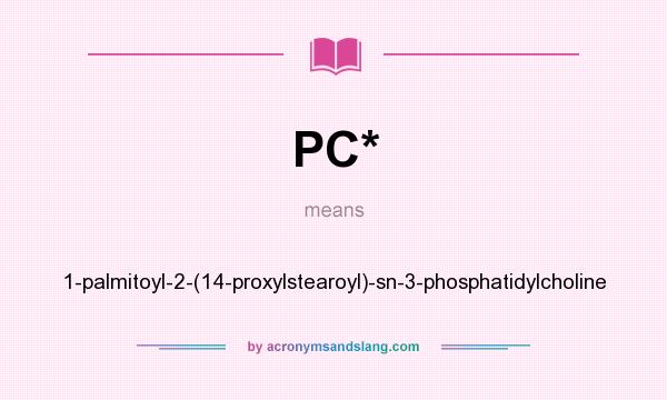 What does PC* mean? It stands for 1-palmitoyl-2-(14-proxylstearoyl)-sn-3-phosphatidylcholine