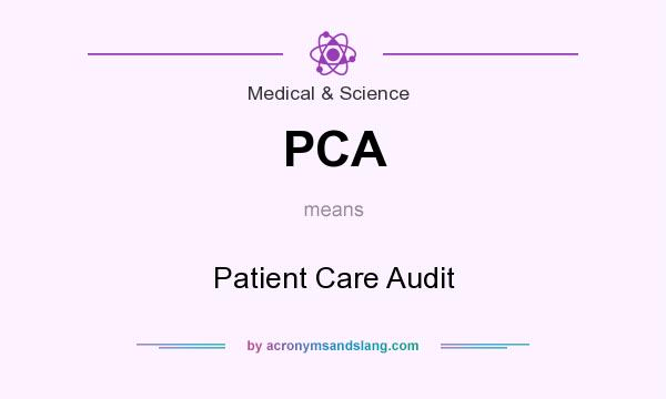 What does PCA mean? It stands for Patient Care Audit