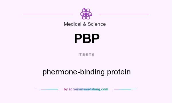 What does PBP mean? It stands for phermone-binding protein