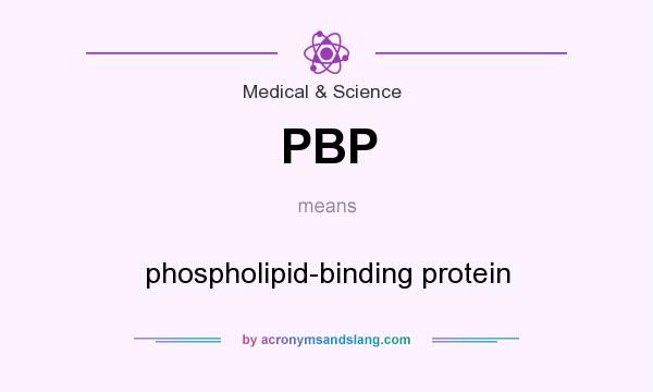 What does PBP mean? It stands for phospholipid-binding protein