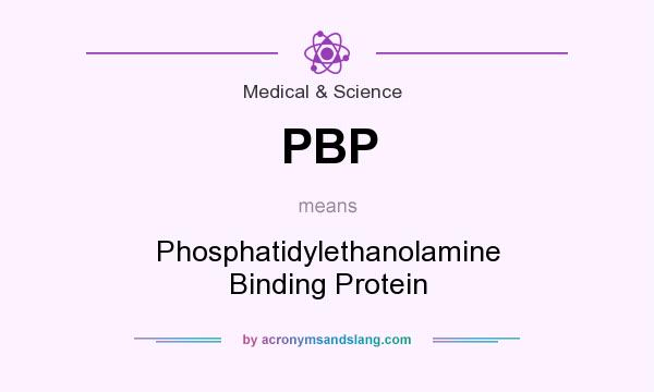 What does PBP mean? It stands for Phosphatidylethanolamine Binding Protein