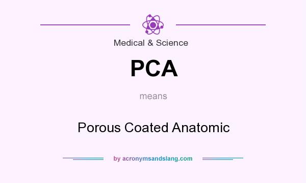 What does PCA mean? It stands for Porous Coated Anatomic