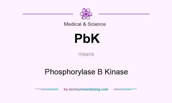 What does PbK mean? It stands for Phosphorylase B Kinase