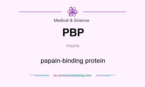 What does PBP mean? It stands for papain-binding protein