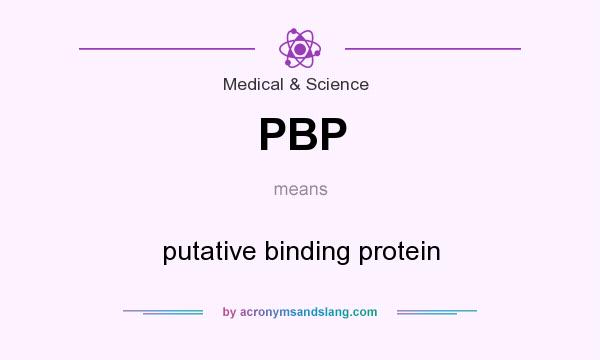 What does PBP mean? It stands for putative binding protein