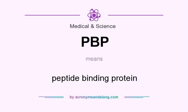 What does PBP mean? It stands for peptide binding protein