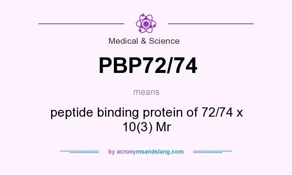 What does PBP72/74 mean? It stands for peptide binding protein of 72/74 x 10(3) Mr