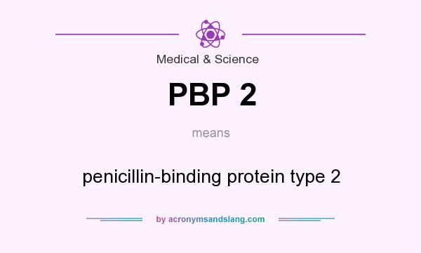 What does PBP 2 mean? It stands for penicillin-binding protein type 2