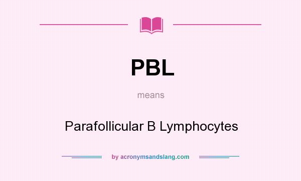 What does PBL mean? It stands for Parafollicular B Lymphocytes
