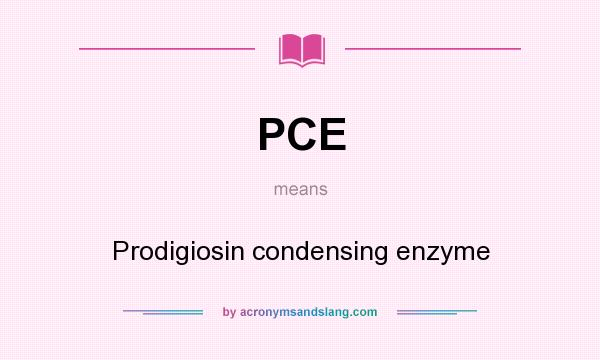 What does PCE mean? It stands for Prodigiosin condensing enzyme
