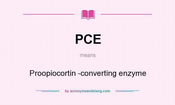 What does PCE mean? It stands for Proopiocortin -converting enzyme