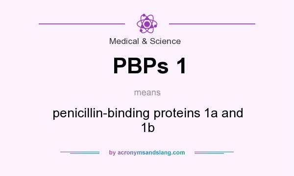 What does PBPs 1 mean? It stands for penicillin-binding proteins 1a and 1b