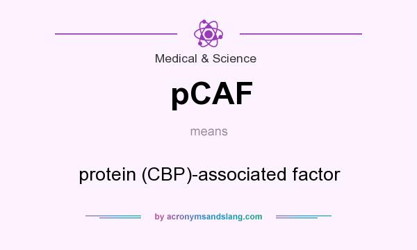 What does pCAF mean? It stands for protein (CBP)-associated factor
