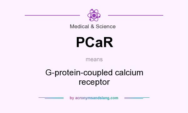 What does PCaR mean? It stands for G-protein-coupled calcium receptor