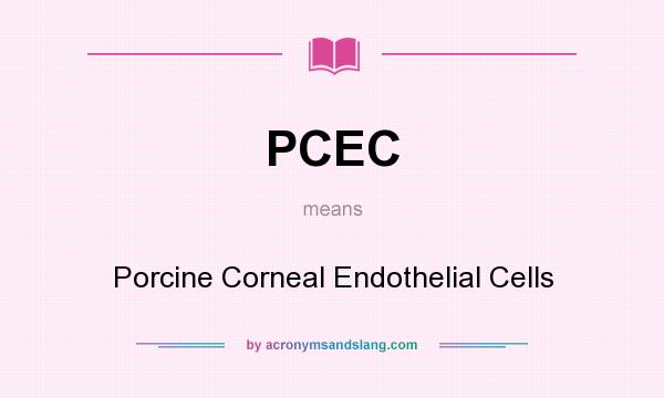 What does PCEC mean? It stands for Porcine Corneal Endothelial Cells
