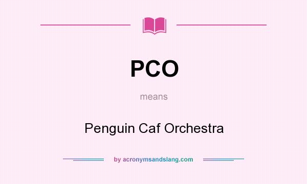 What does PCO mean? It stands for Penguin Caf Orchestra