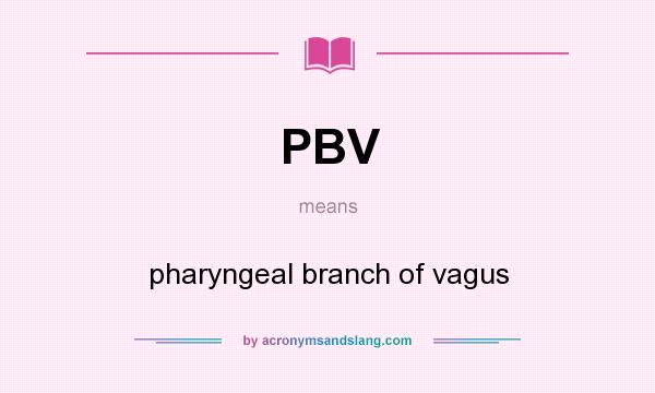 What does PBV mean? It stands for pharyngeal branch of vagus