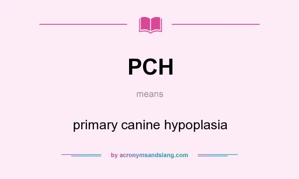 What does PCH mean? It stands for primary canine hypoplasia