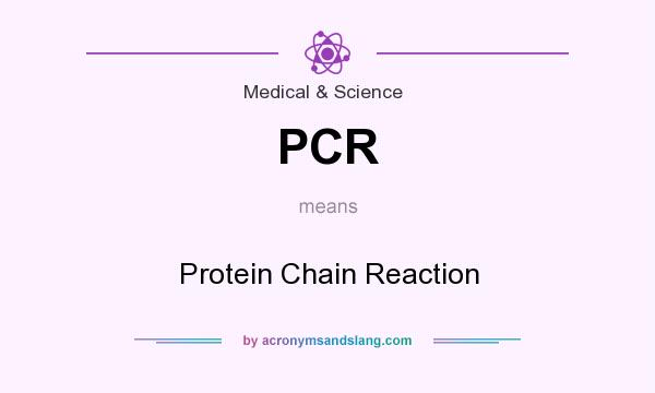 What does PCR mean? It stands for Protein Chain Reaction