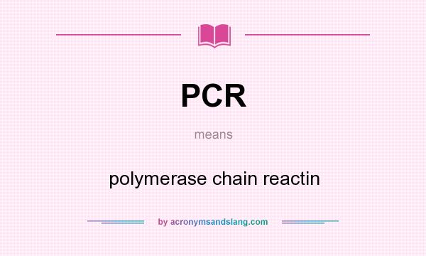 What does PCR mean? It stands for polymerase chain reactin