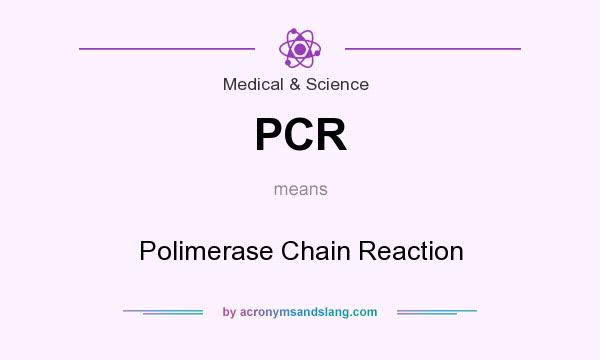What does PCR mean? It stands for Polimerase Chain Reaction
