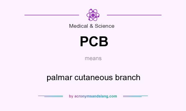 What does PCB mean? It stands for palmar cutaneous branch