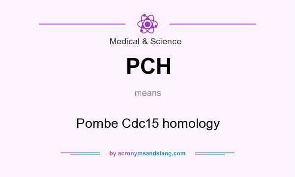 What does PCH mean? It stands for Pombe Cdc15 homology