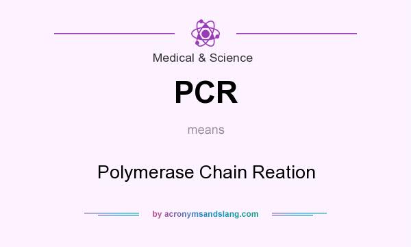 What does PCR mean? It stands for Polymerase Chain Reation