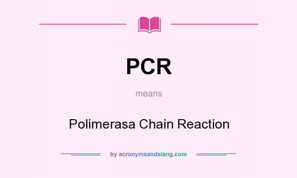 What does PCR mean? It stands for Polimerasa Chain Reaction