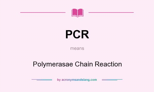 What does PCR mean? It stands for Polymerasae Chain Reaction