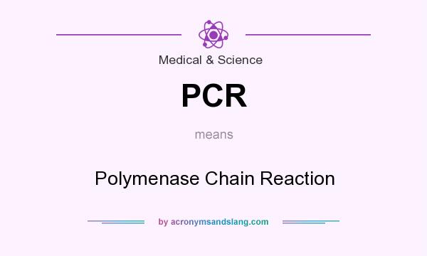 What does PCR mean? It stands for Polymenase Chain Reaction