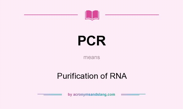 What does PCR mean? It stands for Purification of RNA