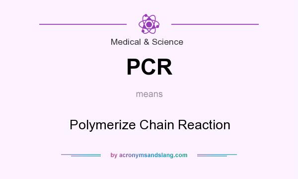 What does PCR mean? It stands for Polymerize Chain Reaction