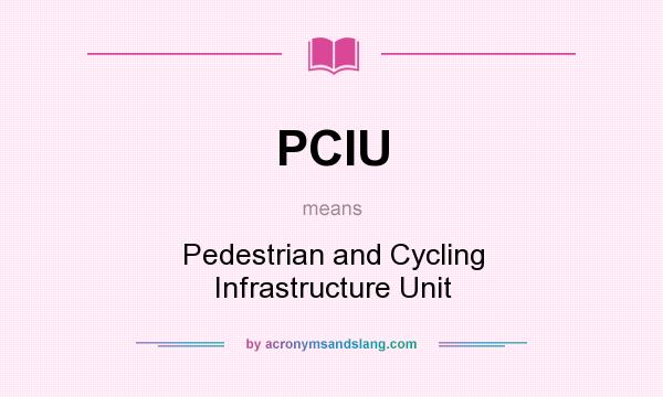 What does PCIU mean? It stands for Pedestrian and Cycling Infrastructure Unit